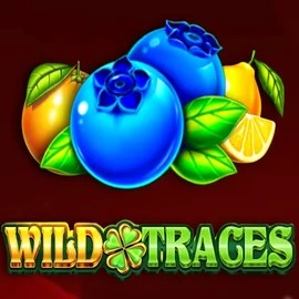Wild Traces by Amusnet Interactive, showcased at spinaltobe.com – game logo